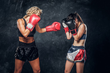 Expirience trainer and her young student have a boxing training wearing boxing gloves.