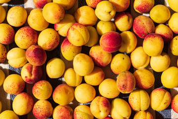 background of ripe organic apricots
