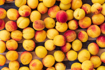 background of ripe organic apricots