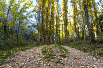 The beautiful promenade of the Senda de la Vega in Segovia, Spain
