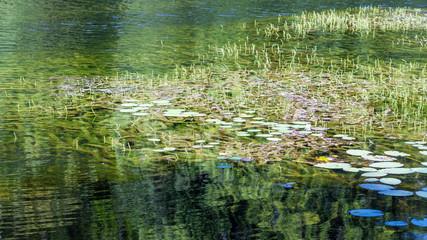 Lake surface background