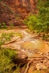The Virgin River