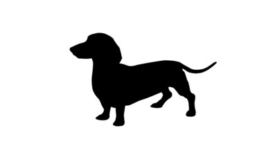 Dackel Dachshund Silhouette