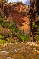 The Zion Narrows Open Up to Sunlight