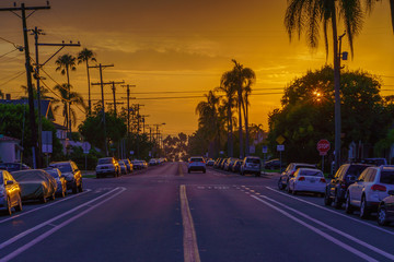 Fototapeta premium University Heights Street Sunset 1