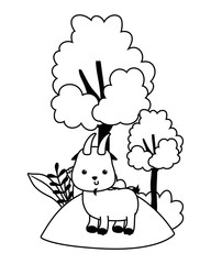 Isolated goat cartoon vector design