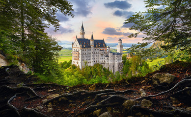 Fairy-tale Neuschwanstein Castle in Bavaria, Germany. View from the bluff with tree roots at famous vintage landmark. Picturesque evening sunset landscape.