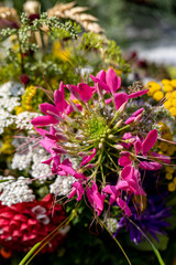 Floristic bouquet of flowers, herbs and fruits that are the symbol of summer