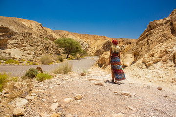 sexy woman in long dress walking back to camera in desert canyon dry wasteland scenery landscape Israeli nature environment 