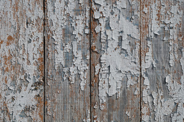 closeup of old wood planks texture. old wood planks background.