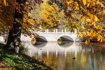 Bridge in Lazienki park during autumn season, Warsaw