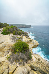 hikink in the royal national park, providential lookout point, australia 98