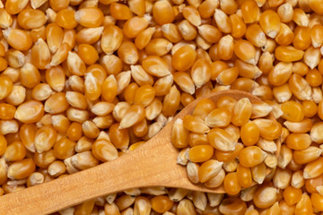 Close-up image of popping popcorn in a wooden spoon with selective focus