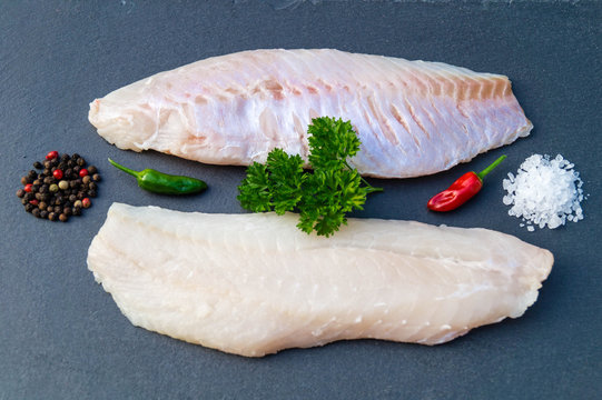 Rotbarsch oder Goldbarsch Sebastes norvegicus; Sebastes marinus