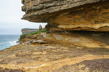 hikink in the royal national park, eaglehead rock, australia 12