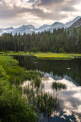 Fototapeta na wymiar Clouds Reflect in Beautiful Grassy Mountain Pond