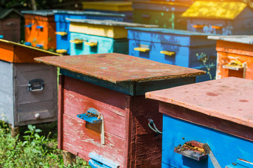 Fototapeta na wymiar A beehive from a tree stands on an apiary. The houses of the bees are placed on the green grass. Private enterprise for beekeeping. Honey healthy food products.Wooden beehive.