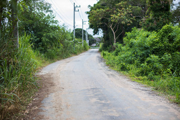 Road in countryside and wilderness. Obstacle to travel concept. image for background and copy space.