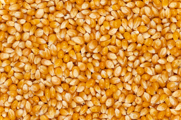 Close-up image of popping popcorn background