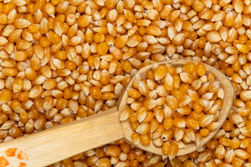 Close-up image of popping popcorn in a wooden spoon with selective focus