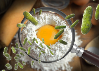 The concept of bacteria in the egg, and is magnified by a magnifying glass, salmonellosis infection