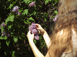 girl holding lilac flower.