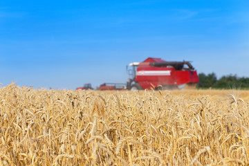 combine harvester