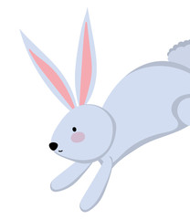 Isolated rabbit cartoon vector design