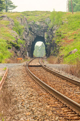 Train Tunnel and deer