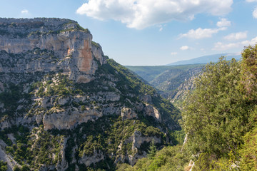 Fototapeta na wymiar Canyon Gorges de la Nesque, gray cliffs with green forest in summer sunny day in Provence, South France