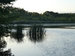 Ein See in Berlin im Sommer 19.