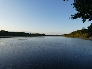 Ein See in Berlin im Sommer 19.