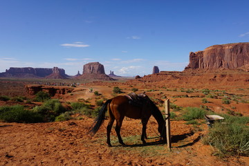Horse Monument Valley 