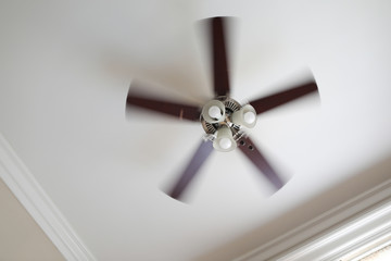 A working ceiling fan on a white ceiling, close up with blurred fan blades, three lamps, daytime.