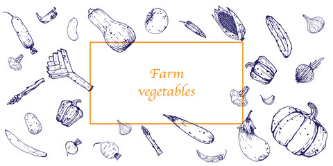 Template natural vegetables. Eco products from the farm. Vector. Vintage style. Wallpaper, white background.
