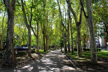 Madri