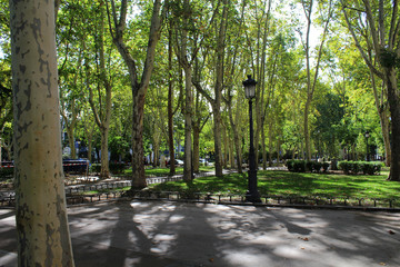 Madri