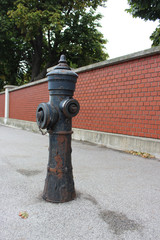 fire hydrant in front of brickwall
