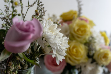 Flores