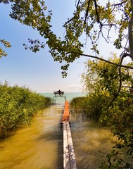 Person is sitting on unique bench by balaton lake and lookng to panorama in a sunny day around...