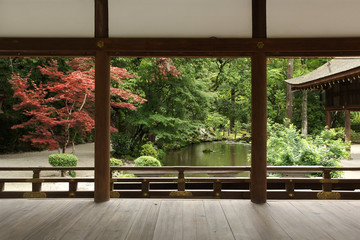 Mooie Japanse tuin in Kyoto (Kamigamo-schrijn)