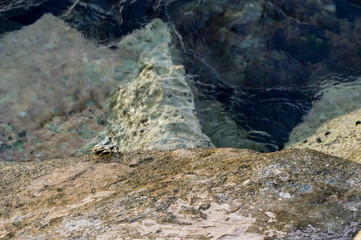 Crab crawling on the edge of a rock