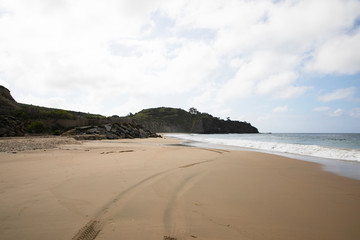 Crystal Cover State Park beach landscape. Escaping a hectic lifestyle. Healthy living. Sun sand vaes