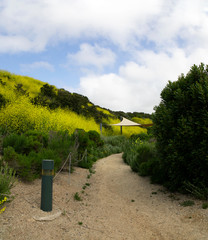 Canopy on hiking trail in the hills of Crystal Cover State Park in the spring. Escaping a hectic...