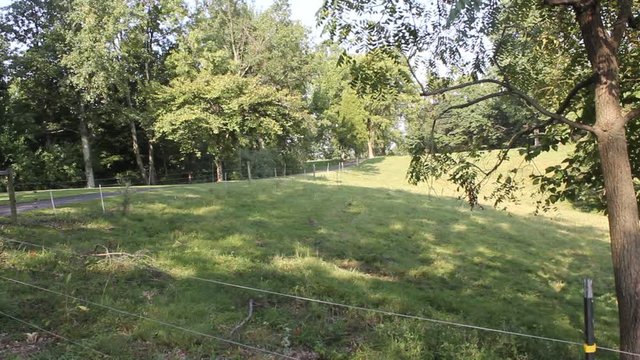 landscape hills in kentucky