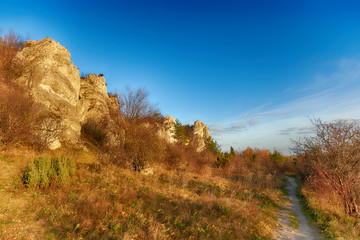 Fototapeta premium Landscape of Jura Krakowsko-Czestochowska in Poland