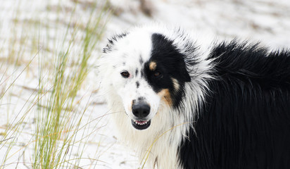 Playing on the Beach