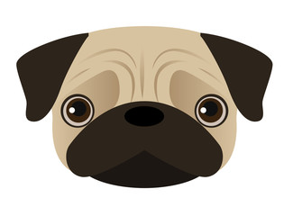 Vector illustration of cartoon dog
