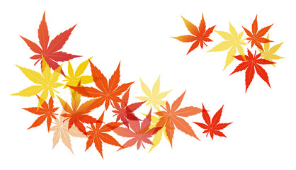 紅葉（もみじ）