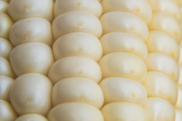 Full frame and macro photo of fresh, organic corn